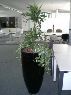 K800_Gesammelte Bilder für Kundenkatalog 007 K800_Gesammelte Bilder für Kundenkatalog 007