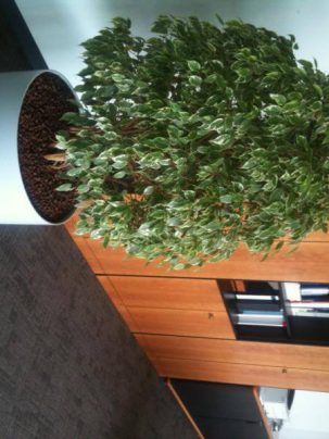 K800_IMG_0304 K800_IMG_0304