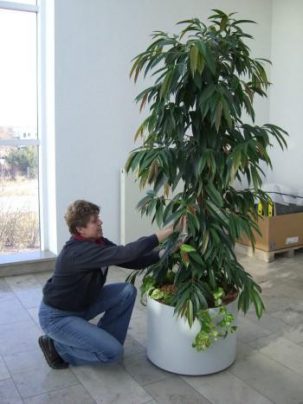 K800_Sonja bei der Pflege K800_Sonja bei der Pflege